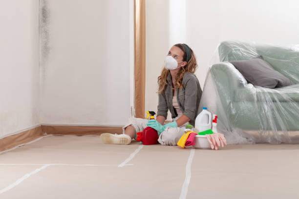 Reliable Mold Remediation contractor in Bridgeport, IL by WQB Mold Removal